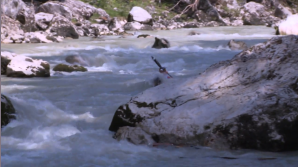 VIMP Canoe Promotion